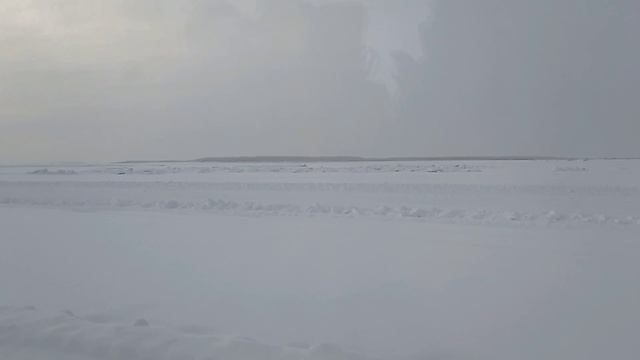 Река ЛЕНА зимой | Николай Артемьев