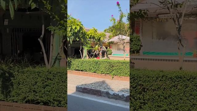 1000019634.mp4