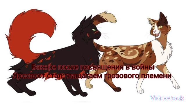 🌾История Ярохвоста! ИСКЛЮЧИТЕЛЬНЫЙ ВЫПУСК! коты воители Ярохвост🌾