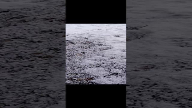 Прогулка по парку зимой