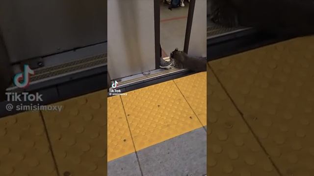 1000040921.mp4