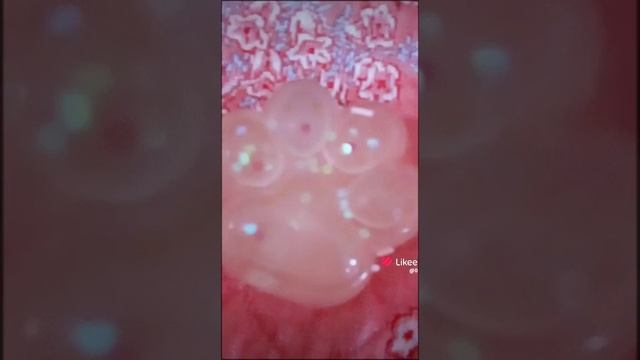 🥀🍷 мимелади 🥀🍷 мои сквиши 🍷🥀