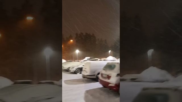 VID_20250110_184726_116.mp4