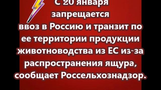С 20 января запрещается ввоз в Россию продукции животноводства из ЕС