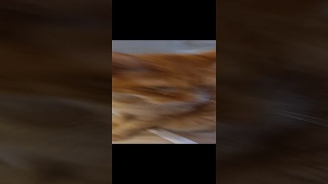 1000008439.mp4