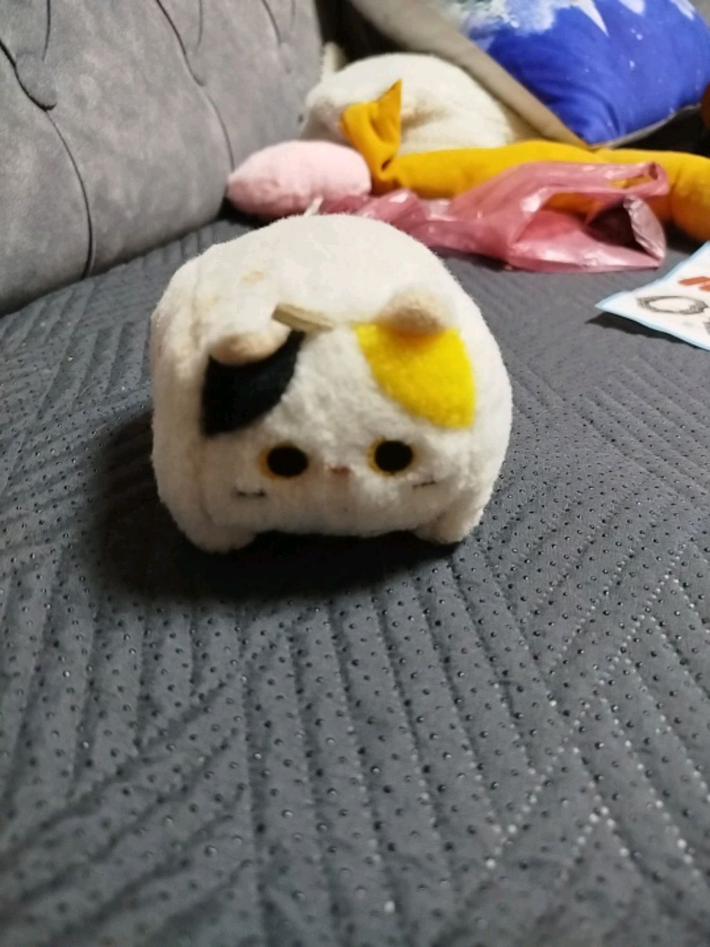кот