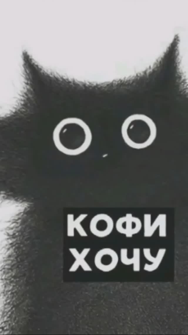 срок жизни