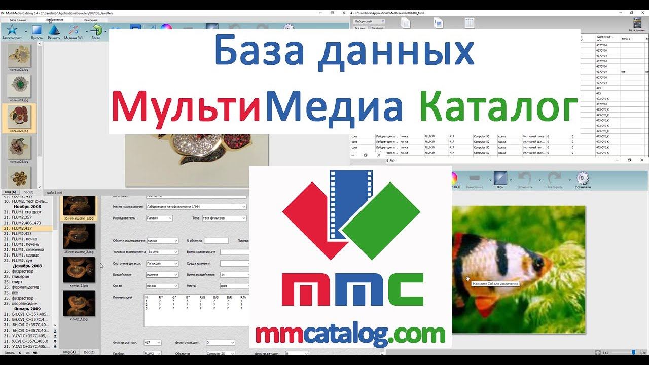 База данных МультиМедиа Каталог (MultiMedia Catalog, MMC)
