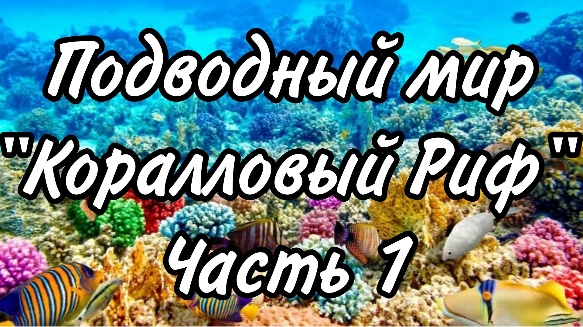Подводный Мир. Коралловый Риф. Часть 1