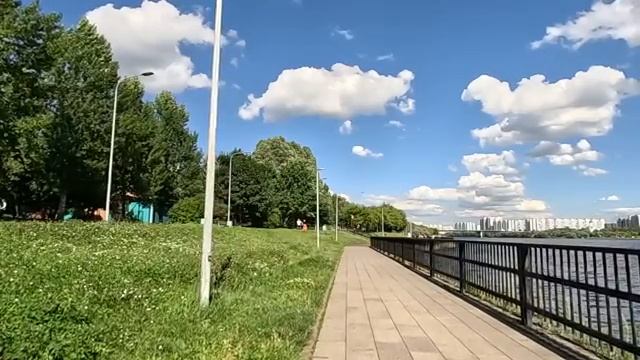 Оставив свекровь дома по совету мужа, поставила камеру, уехав на дачу… А включив запись в электричке