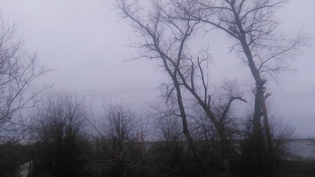 VID_20250117_083341.mp4