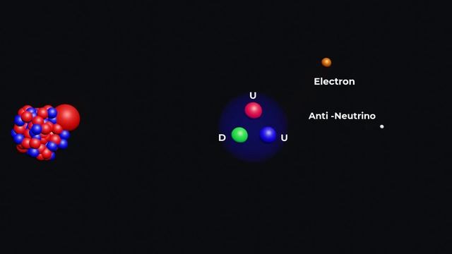 Weak Nuclear Force Explained  Weak Force  What Causes Weak Nuclear Force  Strong Nuclear Force