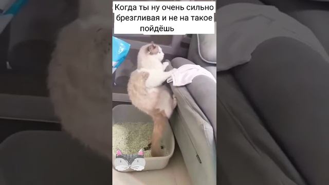 Комфорт