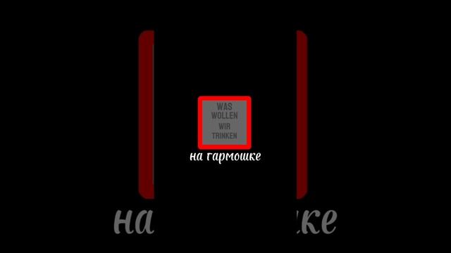 Was wollen wir trinken  на гармошке