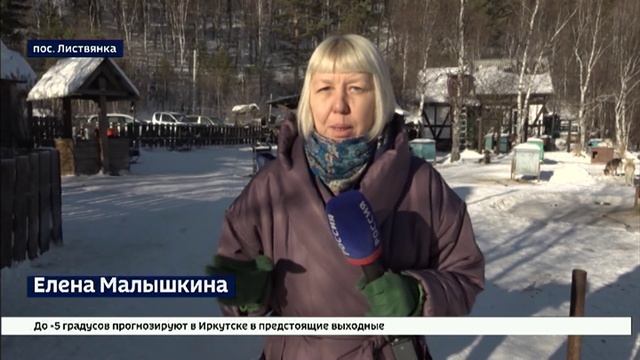 В поселке Листвянка готовятся к большой гонке на собачьих упряжках Байкал Рэйс