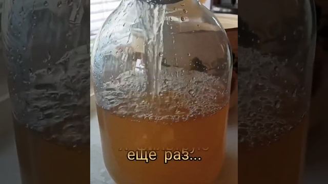 Квас из черешни и мяты