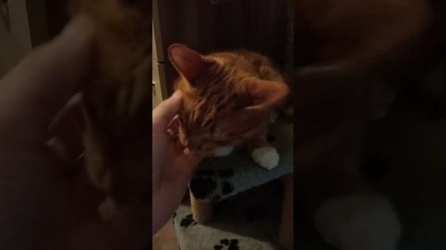 1000018707.mp4