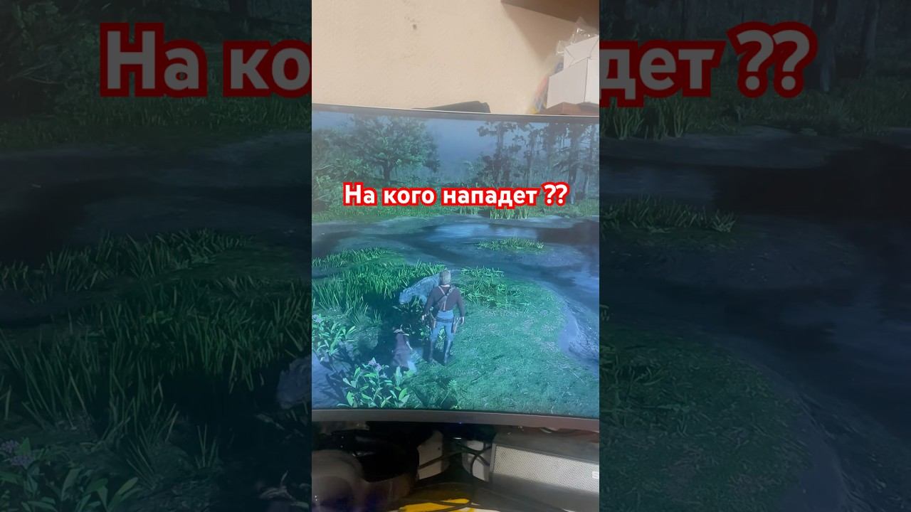 13 декабря 2024 г.