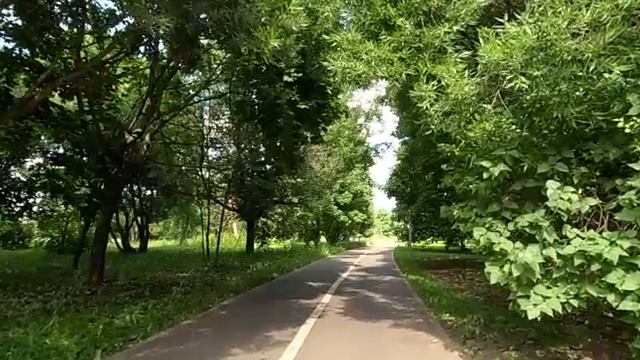 А на маткапитал дачу купим - радовалась свекровь, едва невестка родила тройню… Но мужа ждал сюрприз…