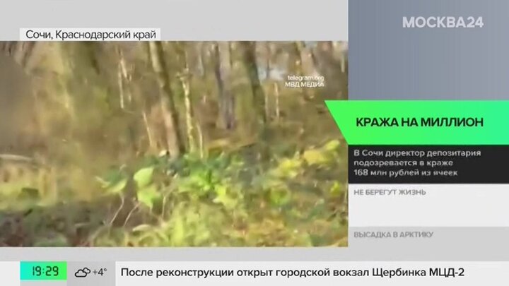 Новости регионов: директора депозитария в Сочи подозревают в хищении 168 млн рублей