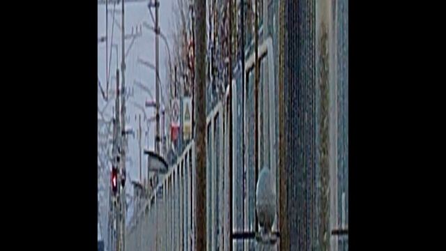 17 января 2025 г. Электровоз ЭП2К-241 с Пассажирским поездом Поповка