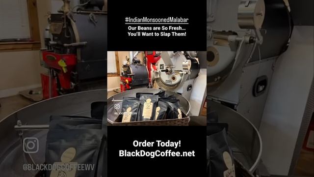 Bagging fresh roasted Arabica Coffee!