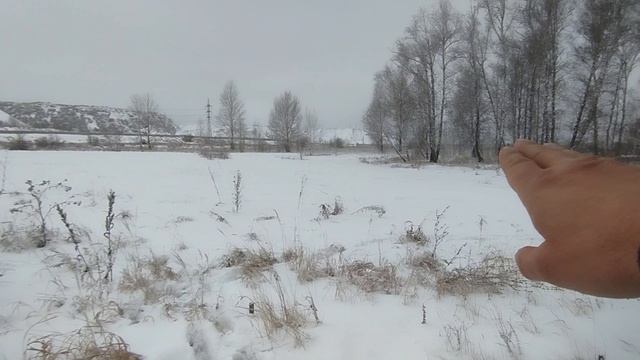 Рождественская прогулка