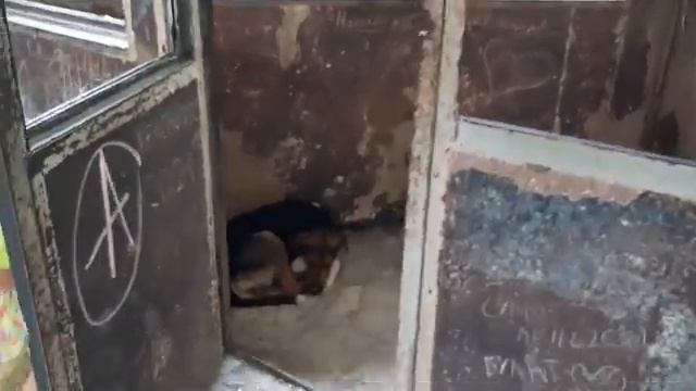 Абхазия лето 2021(часть 1)