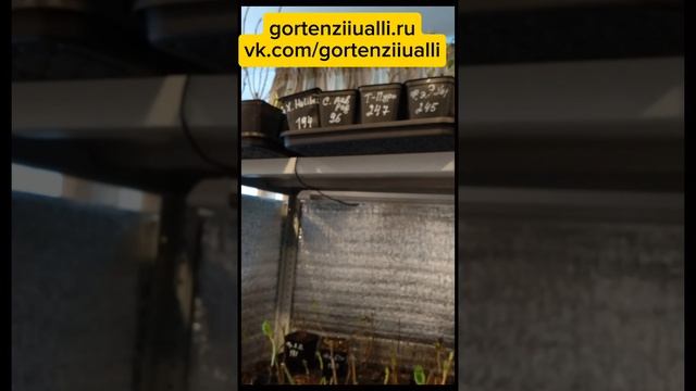 Подготовка на террасе к сезону 2025. сегодня 17.01.25