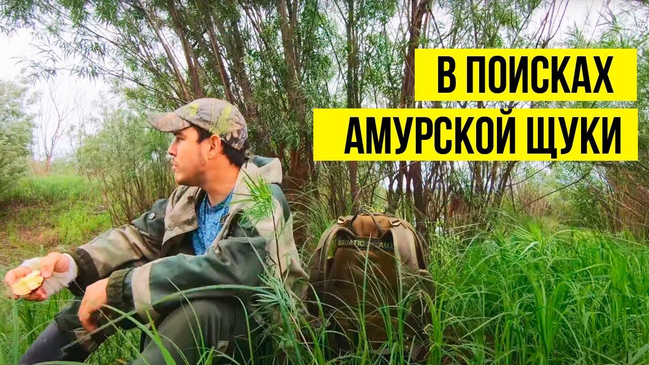 Рыбалка в июне 2020 на незнакомых болотах. Пытаюсь поймать щуку травянку. Рыбалка на Амуре