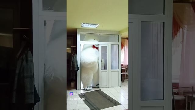 Михалыч Златоуст