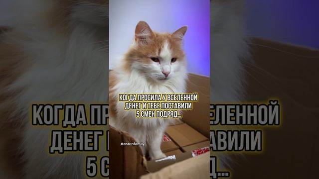 Денег у вселенной