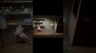 scene_output.mp4
