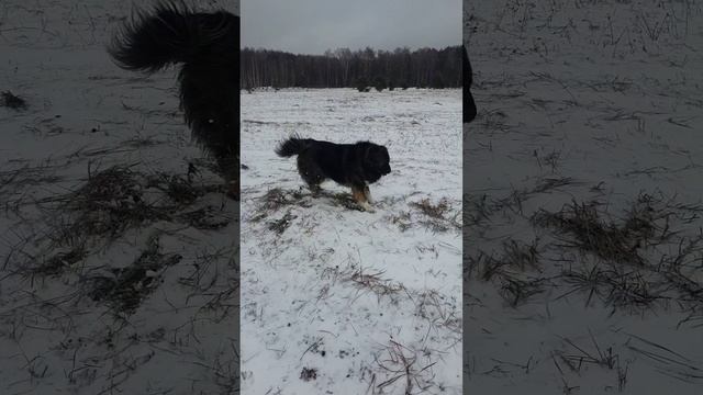 Она нервничает.