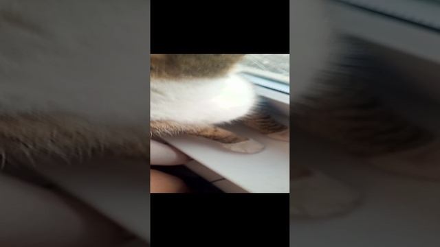 хз но по-моему хрень