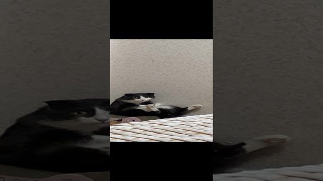 кто здесь.?