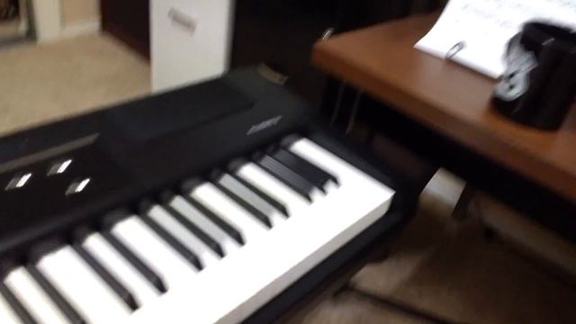 Williams Allegro 2 88 Keys Demo