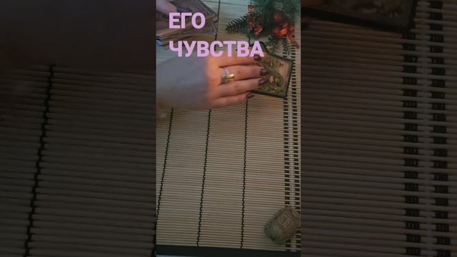 ЕГО ЧУВСТВА