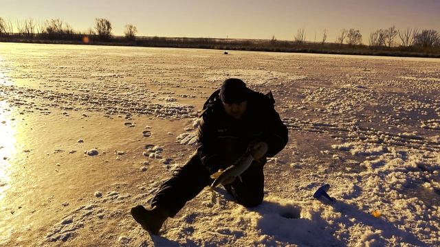 Эти щуки больше чем сруки