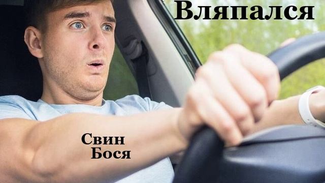 Свин Бося . Вляпался...