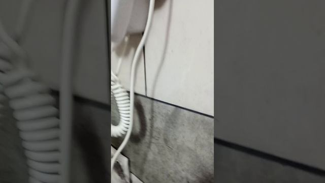 scene_output.mp4