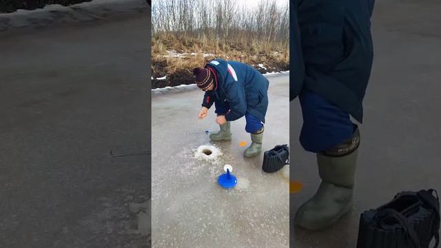 1000012624.mp4
