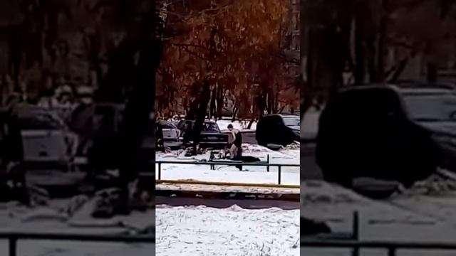 Двор в перово