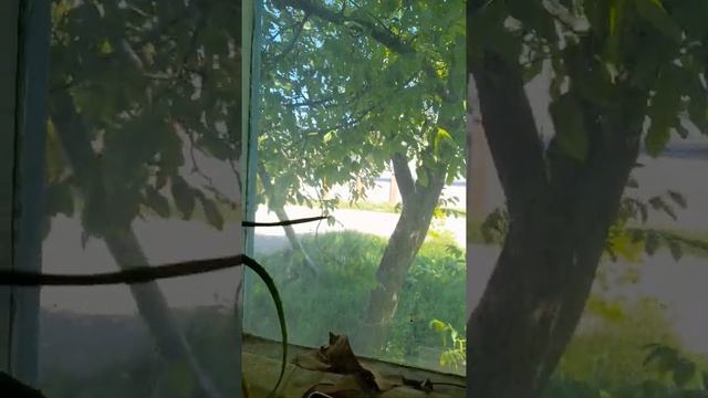 погода в минеральных водах