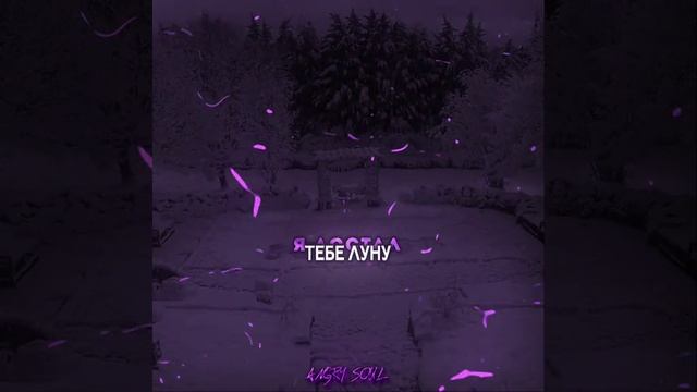 1000002526.mp4