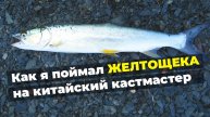 Рыбалка на Дальнем Востоке | Ловля желтощека на обычный китайский кастмастер 14 грамм