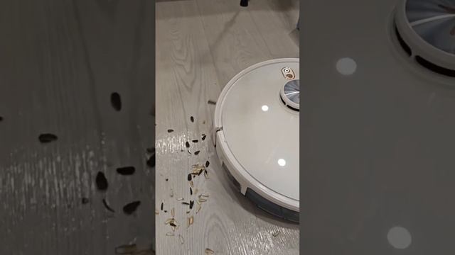 1000070787.mp4