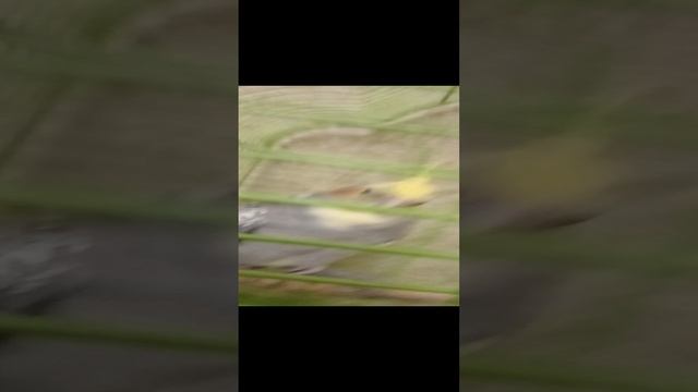 1000004412.mp4