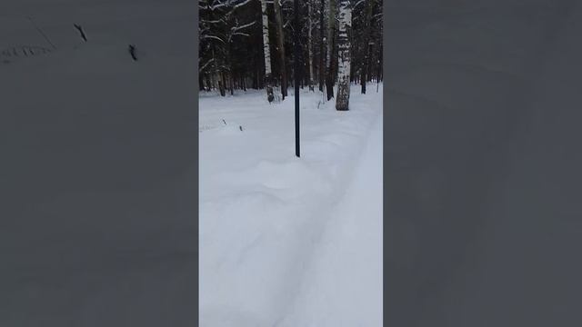 VID-20250117-WA0017