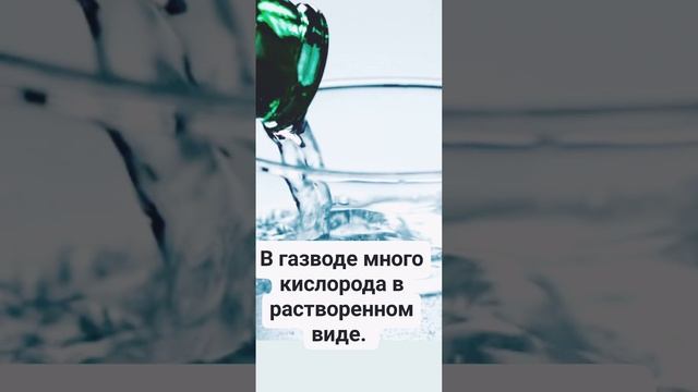 "Волшебные газики". Лео Бокерия развеял миф о вреде газировки.